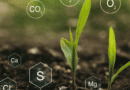 Soil Sulphur 101: Understanding how it works